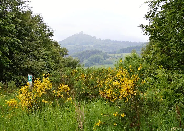 Franky House Am Nuerburgring